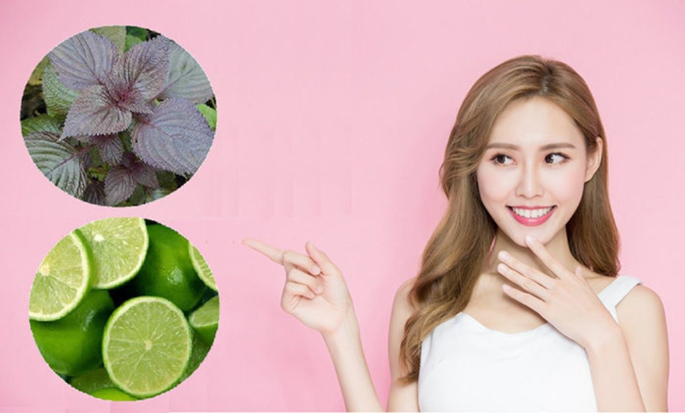 Sử dụng nước lá tía tô: Bí quyết làm đẹp và dưỡng da hiệu quả