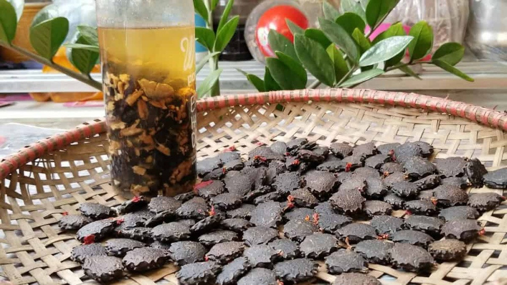 Tác Dụng Của Hạt Gấc Trong Làm Đẹp Mà Bạn Chưa Biết