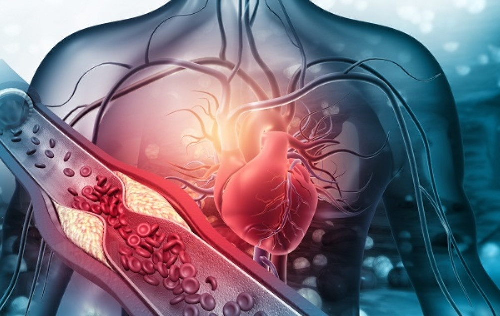 Tác dụng của trà gạo lứt đậu đỏ giảm cân, thanh nhiệt