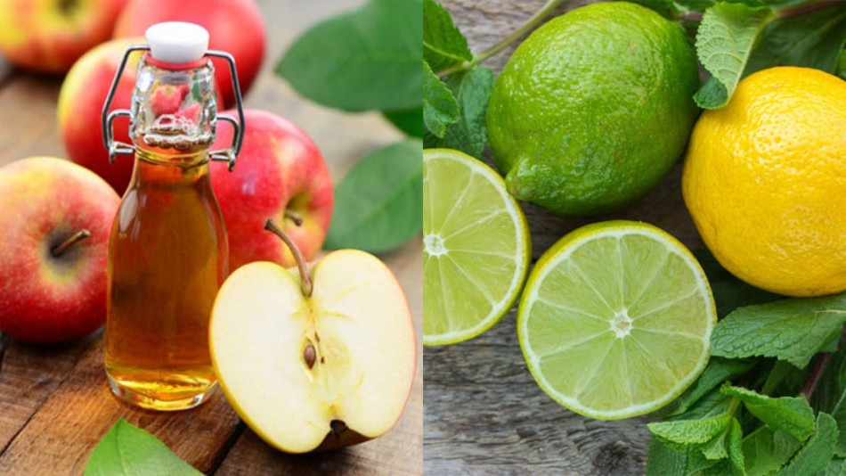 Tóc dầu có nên gội đầu hàng ngày? Tần suất gội đầu hợp lý