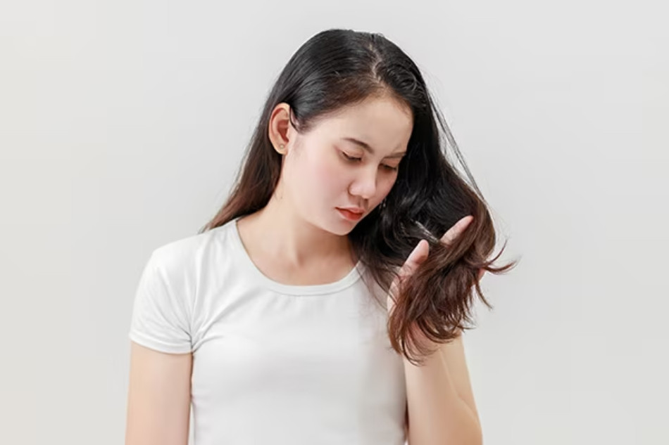 Top 16 Dầu Gội Mềm Mượt Tóc Tốt Nhất Trên Thị Trường Hiện Nay