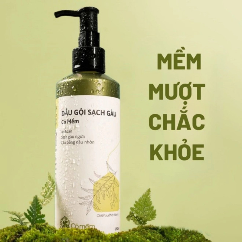 Top 20+ dầu gội cho bà bầu an toàn được chuyên gia khuyên dùng trong thai kỳ